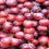 Endeavour and Treasury now set to finally sell vineyards