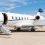 Secret charter plane could take 70 dogs to race