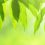 Emerging markets across the iGaming sector identified