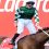 Bookie’s signage a Cox Plate headache for racing club