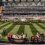 VRC ditches home turf for Royal Ascot