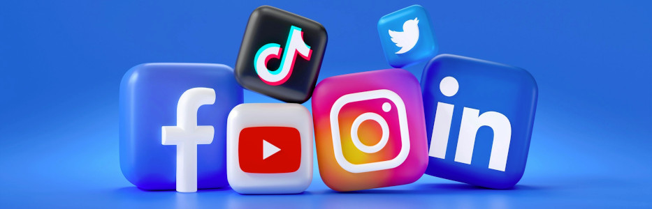 Delegation to push social media platforms for online gambling controls