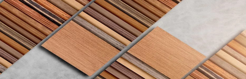 Iris Capital to transform hotel into 300 new homes