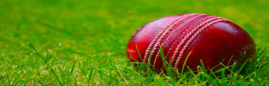 ABC cuts McGrath over Bet365 linlks