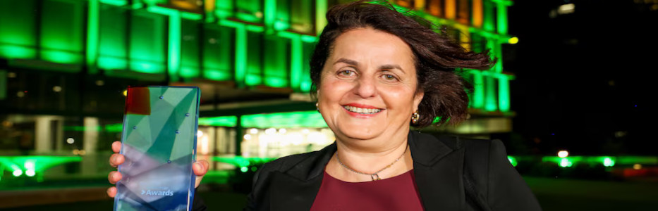 Gaming addiction treatment pioneer honored at awards ceremony