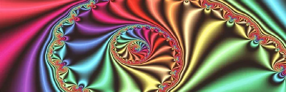 Greyhound rehoming service employees ‘living in hell’