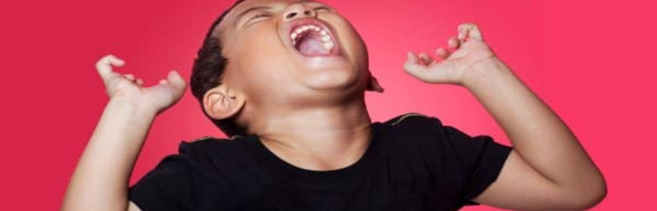 Trainers frustrated over ‘lack of accountability’