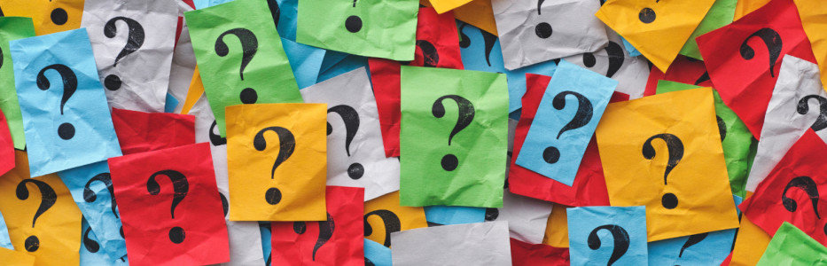 Racing NSW got $58m grant with no scrutiny