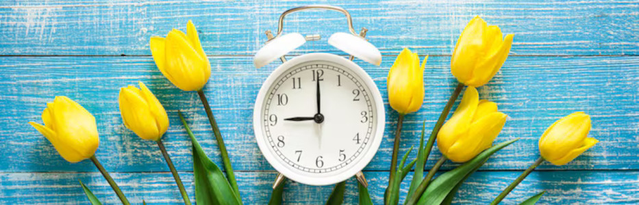 Bally’s Intralot secures 15-year pokies monitoring license