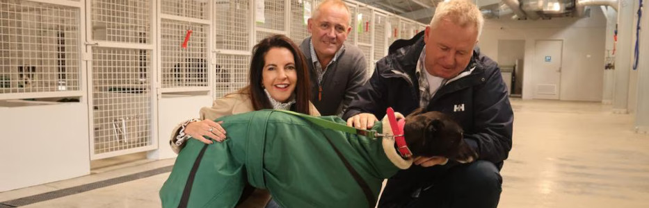 Rockliff calls Labor to ‘read the room’ on greyhound racing ban
