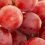 Endeavour Group sells Chapel Hill vineyard to Torrens Retirement Services