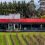Endeavour puts acclaimed Yarra Valley winery up for sale