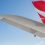 Charter flights set to bring about 150 greyhounds to Australia