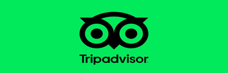 TripAdvisor bans horse racing tickets over animal welfare concerns